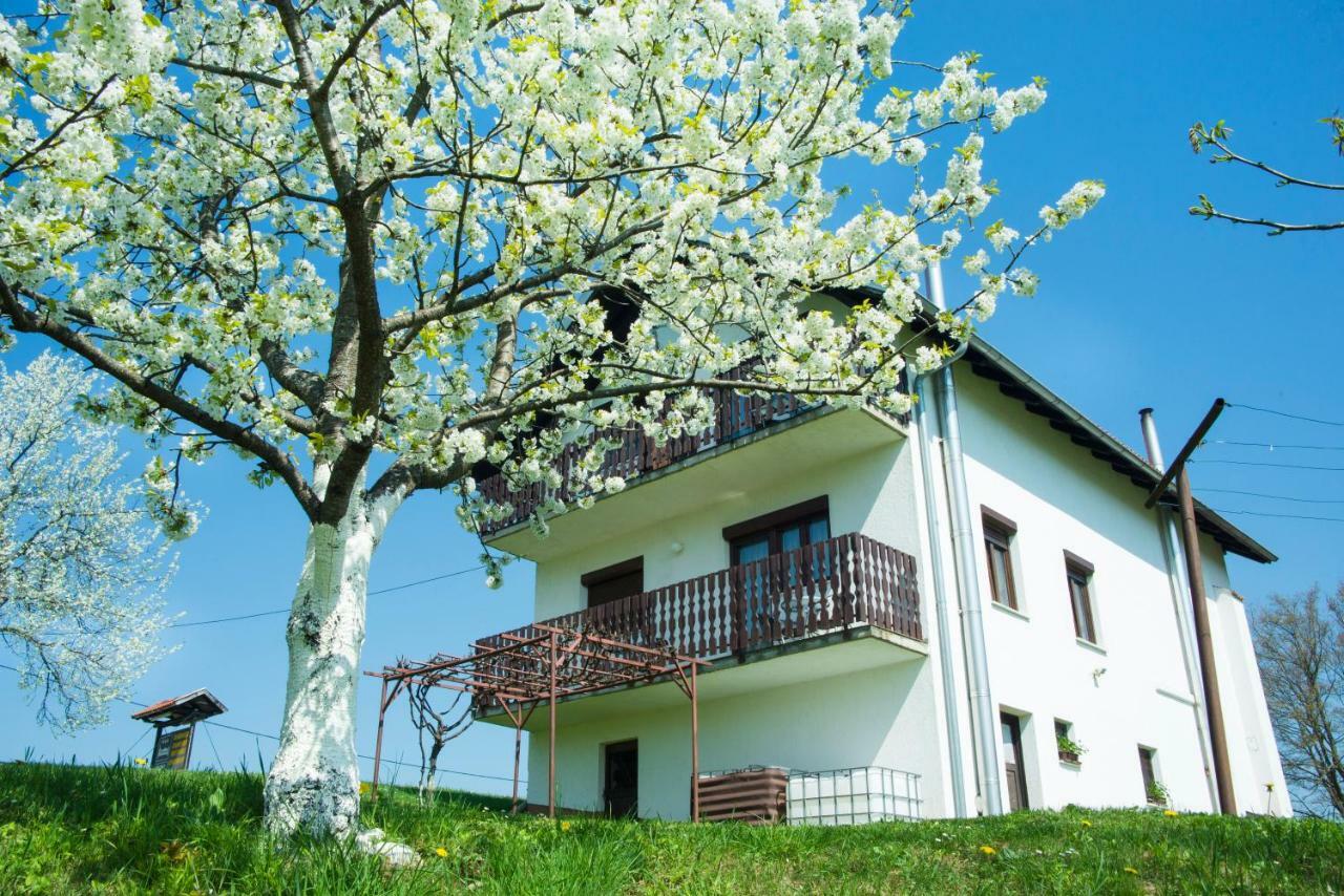 House Spehar Ξενοδοχείο Seliste Dreznicko Εξωτερικό φωτογραφία