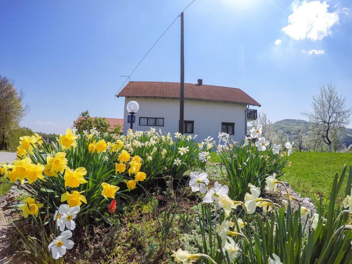 House Spehar Ξενοδοχείο Seliste Dreznicko Εξωτερικό φωτογραφία